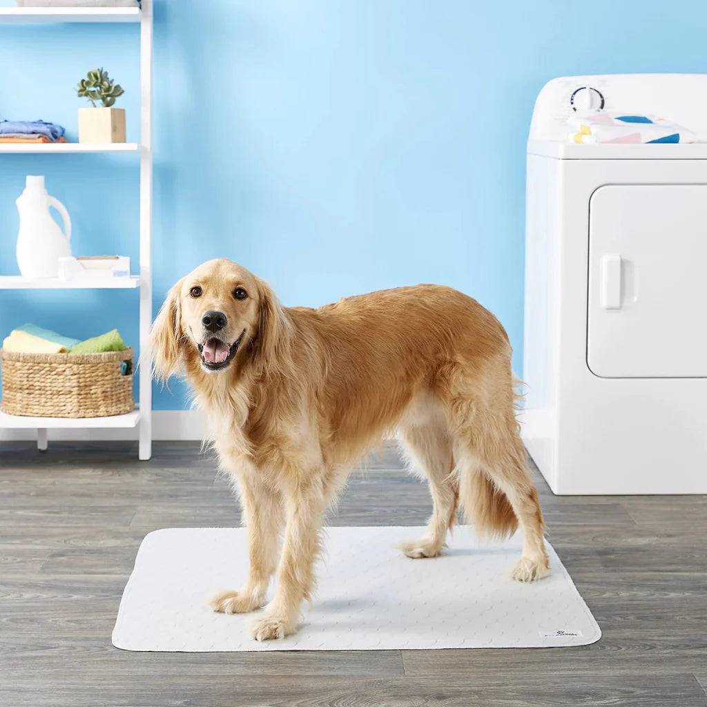 Pet Parents - Pawtect Pads Classic Natural