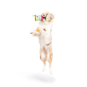 Huxley & Kent - Huxley & Kent - Dog Toy Witch's Potion