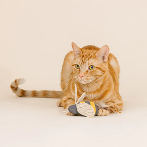 Petshop by Fringe Studio - Cat Toy Worth The Buzz Launcher