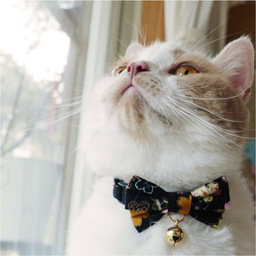 Moon-X USA - Cat Collar Kimono Bow Tie
