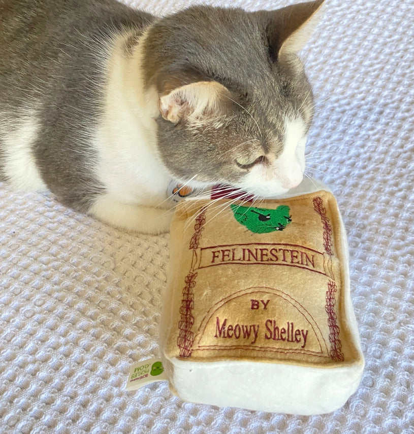 Screaming Pickles - Cat Toy Felinestein