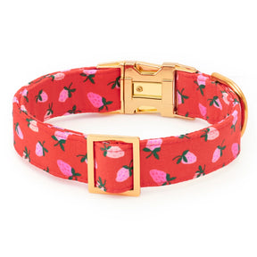 The Foggy Dog - Dog Collar Berry Sweet