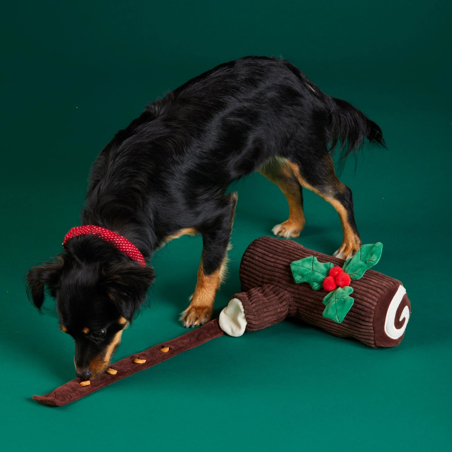The Foggy Dog - Dog Toy Yule Log