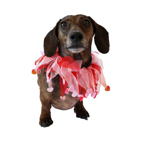 Midlee - Valentine's Heart Decorative Dog Collar - Southern Agriculture 