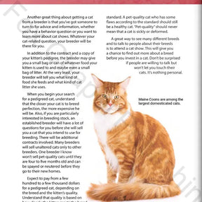 Wellspring- Book - 77 Things to Know Cat