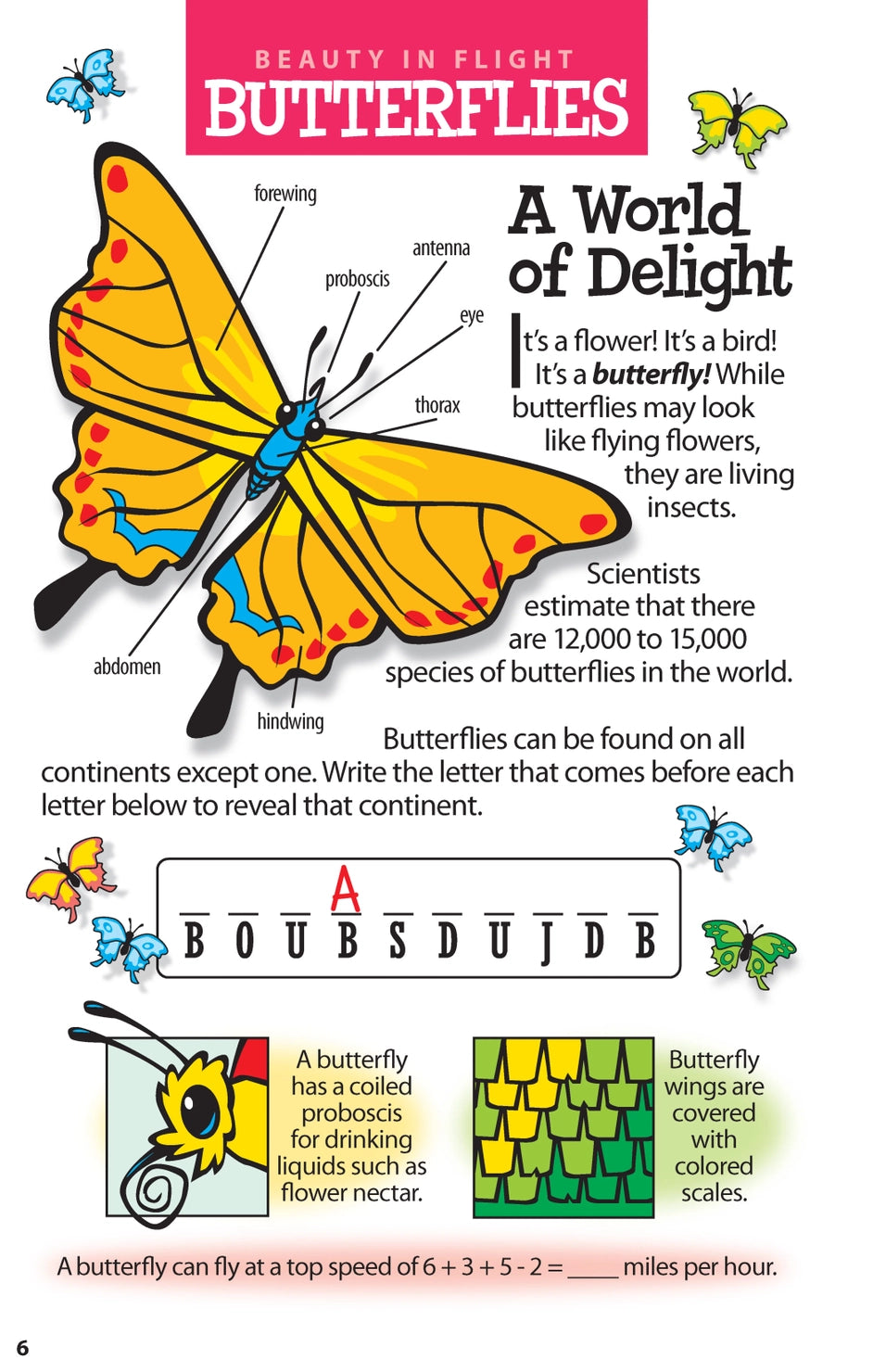 Wellspring- Activity Book - Brain Bending Animal Puzzles for Kids