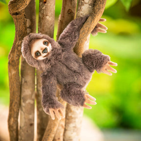 Evergreen Enterprises - Sloth Stuffed Animal