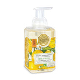 Michel Design Works Foaming Hand Soap - Garden Scents