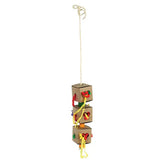 Caitec - Small Triple Foraging Box (For small-sized birds) - Southern Agriculture 