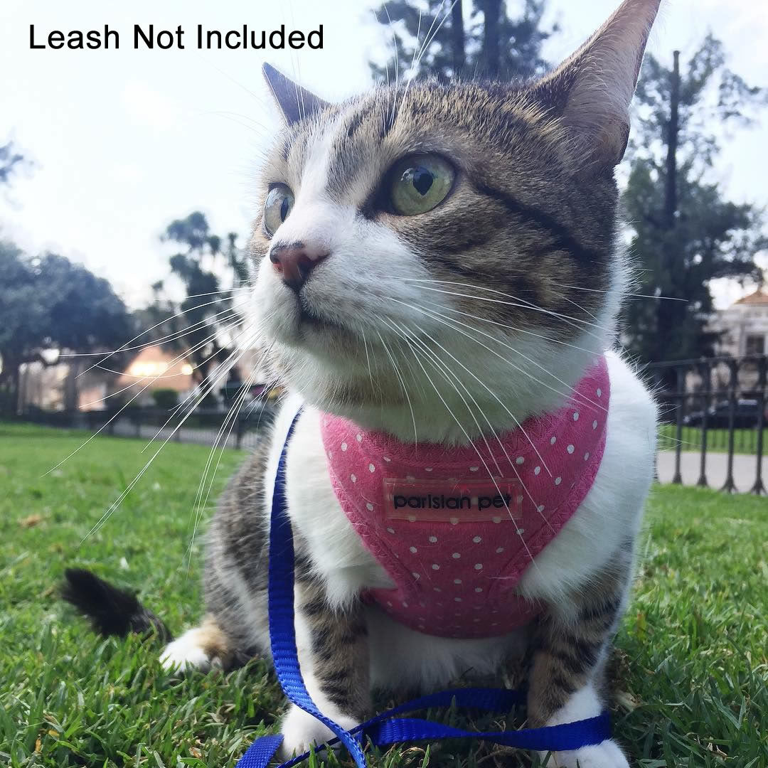 Parisian Pet - Freedom Harness Pink Dot - Southern Agriculture 