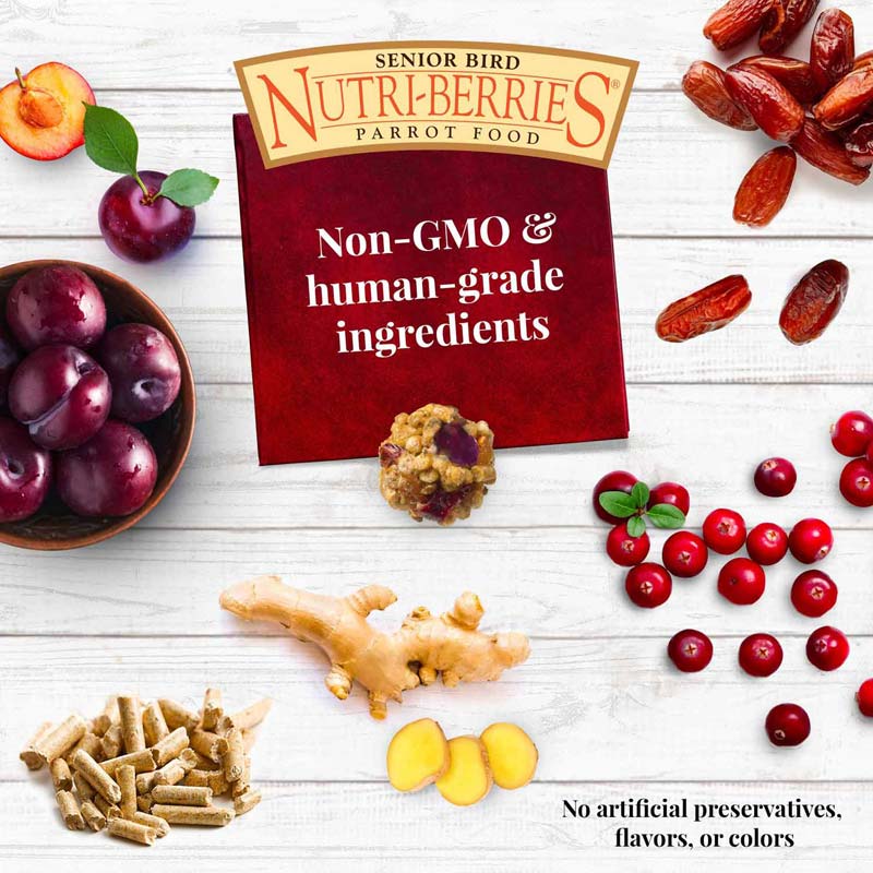 Lafeber - Nutri-Berries Senior Parrot