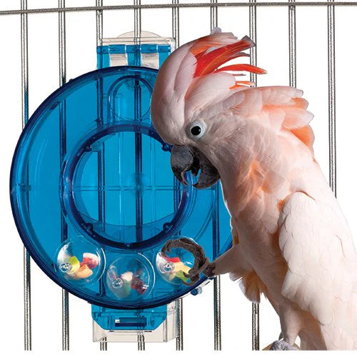 Caitec - Bird Toy Mastermind Circle - Southern Agriculture 