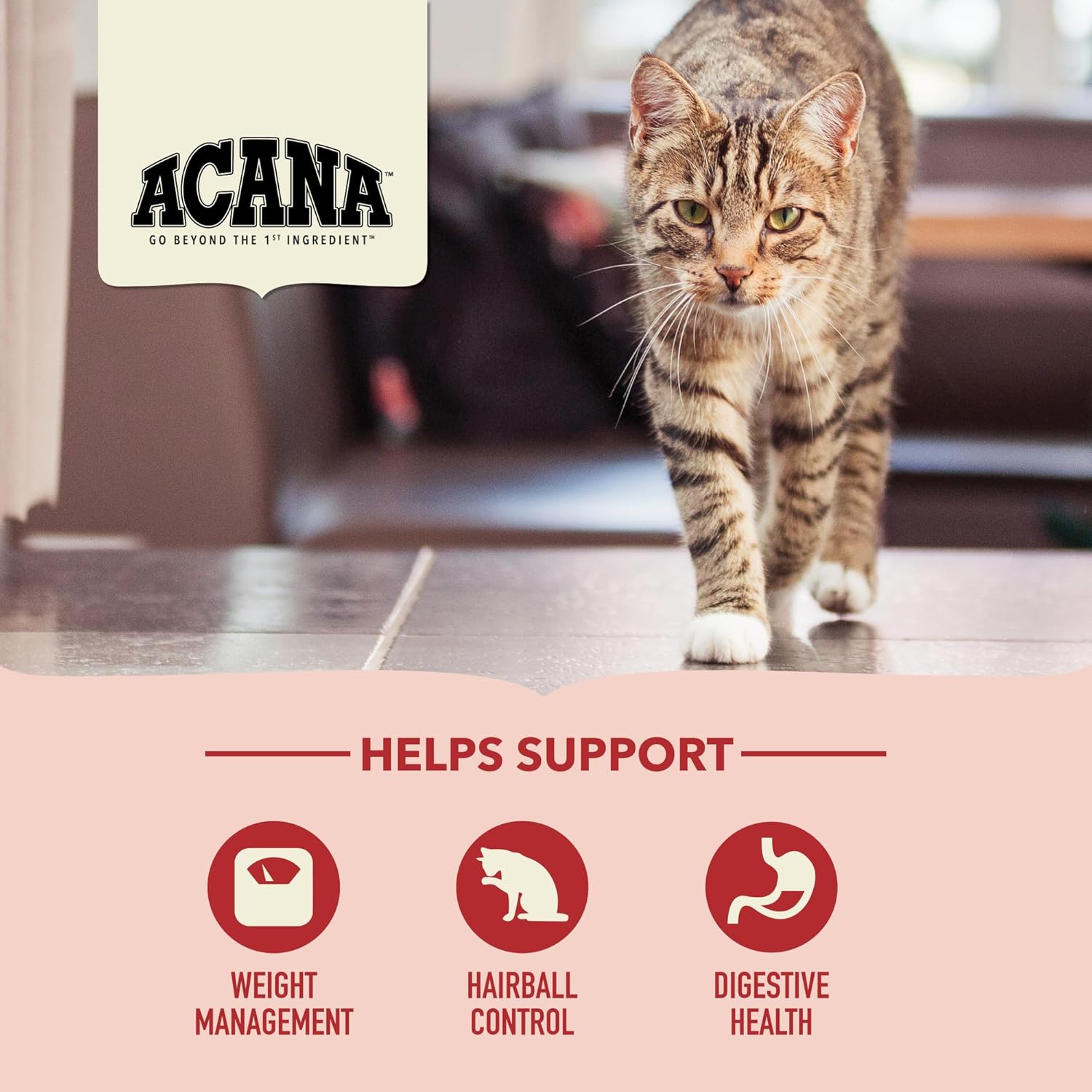 Champion Petfoods Acana - Indoor Chicken & Turkey Dry Cat Food