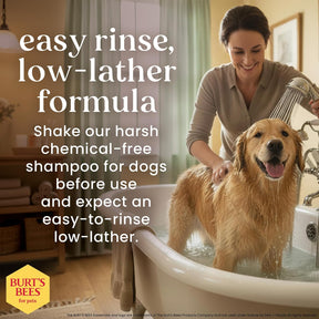 Burt's Bees - Prebiotic & Mushroom Oatmeal Shampoo for Dogs