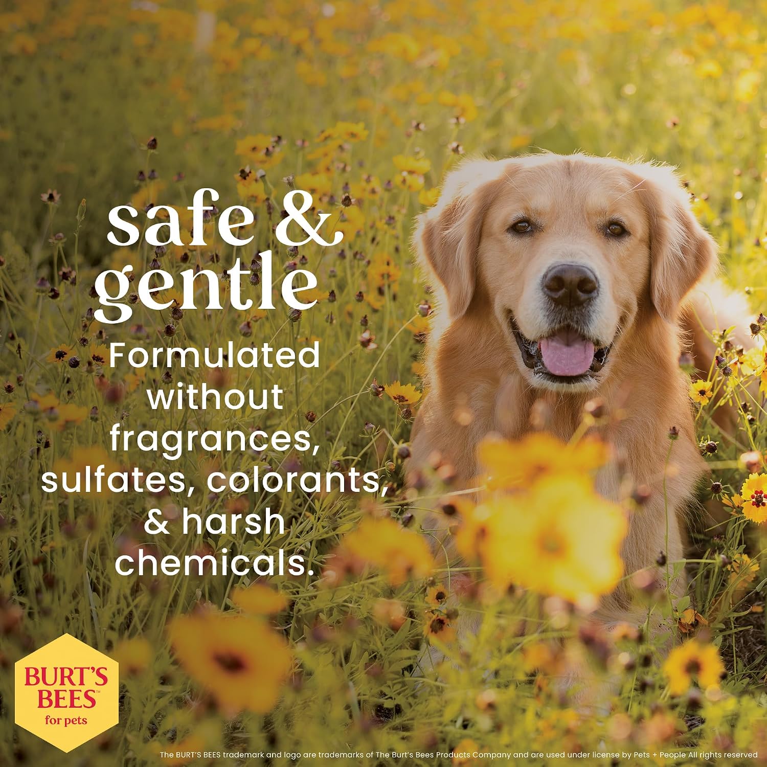 Burt's Bees - Prebiotic & Mushroom Oatmeal Shampoo for Dogs