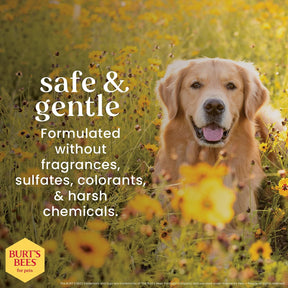 Burt's Bees - Prebiotic & Mushroom Oatmeal Shampoo for Dogs