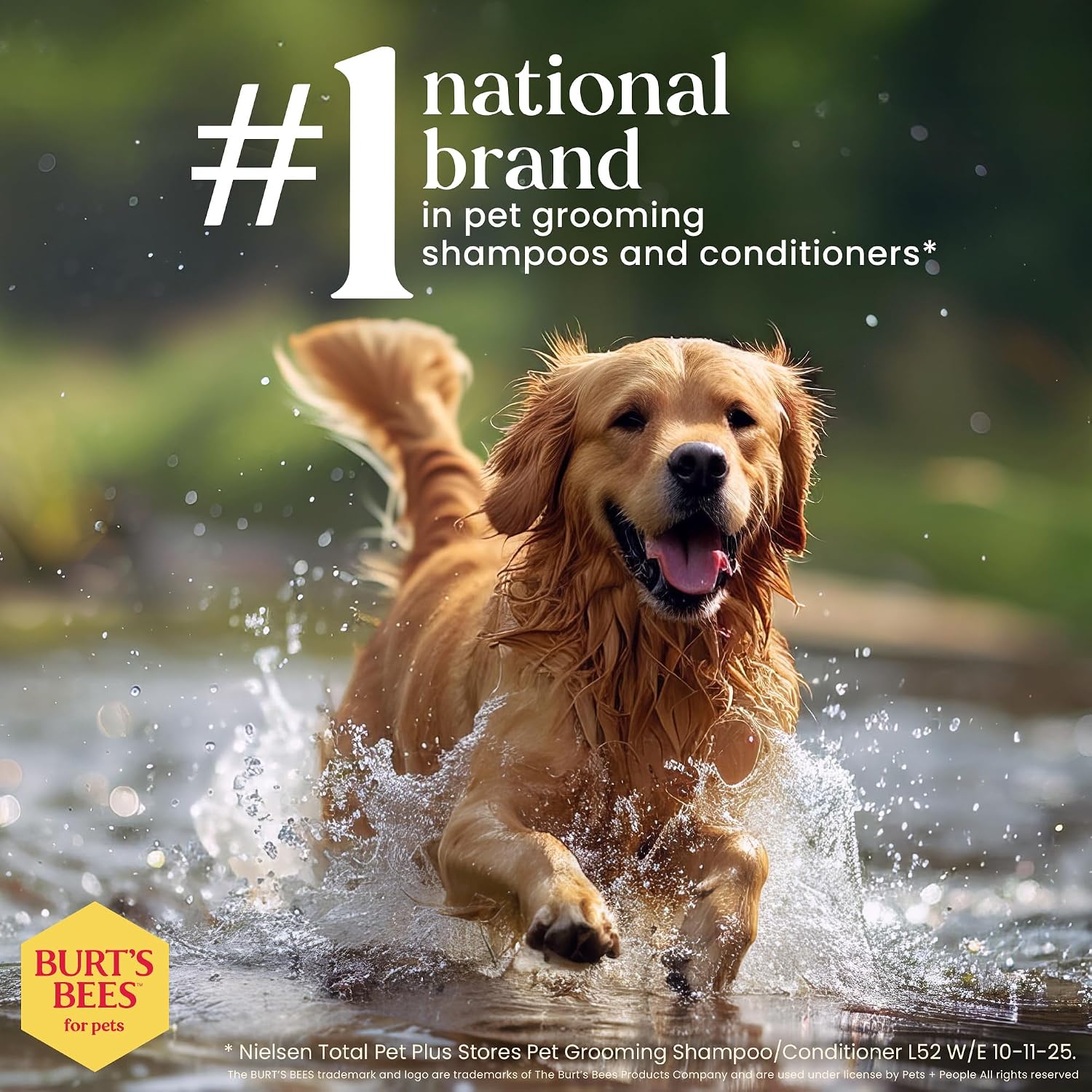 Burt's Bees - Prebiotic & Mushroom Oatmeal Shampoo for Dogs