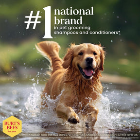 Burt's Bees - Prebiotic & Mushroom Soothing Shampoo for Dogs