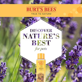 Burt's Bees - Calming Dog Shampoo w/ Lavender & Green Tea