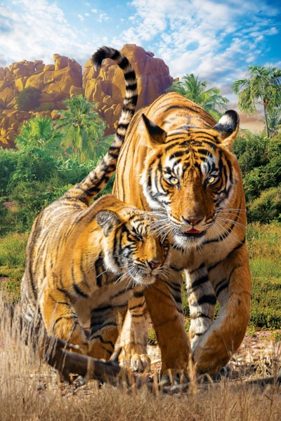Eurographics Puzzles - Puzzle Tigers