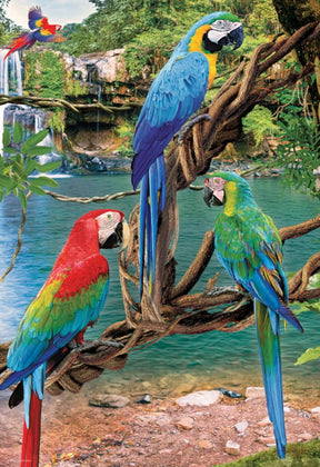 Eurographics Puzzles - Puzzle Macaws