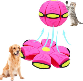 Vigor - Flying Saucer Ball - Outdoor