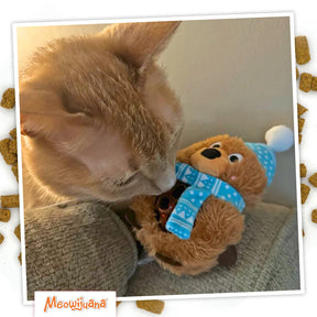 Meowijuana - Knock 'N' Nibble Winter Buddy