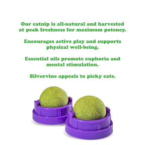 Meowijuana - Purple Passion Stick 'n' Lick Compressed Catnip