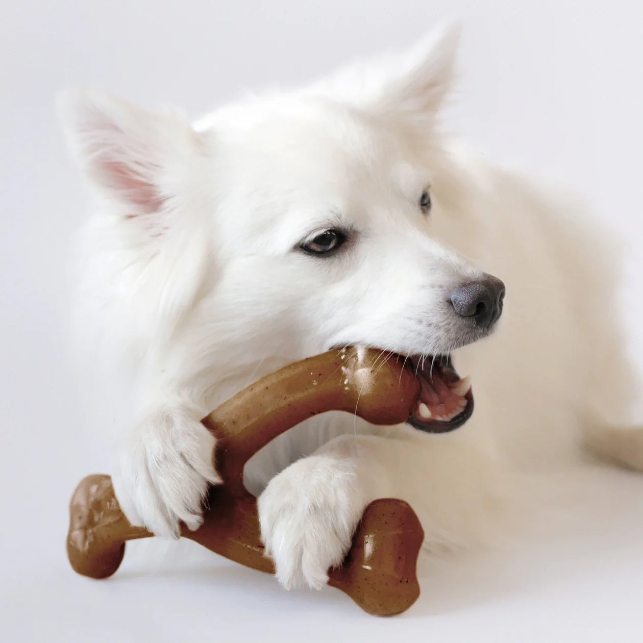 Benebone - Wishbone Nylon Chew Toy Peanut Butter