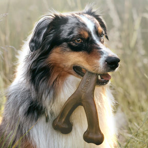 Benebone - Wishbone Nylon Chew Toy Peanut Butter