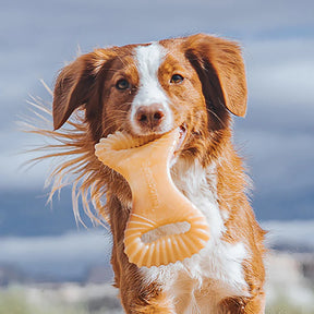 Benebone - Dental Nylon Chew Toy Chicken