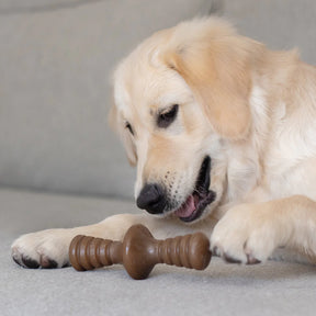 Benebone - Zaggler Nylon Chew Toy Peanut Butter