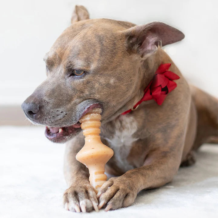 Benebone - Zaggler Nylon Chew Toy Chicken