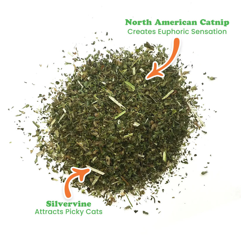 Meowijuana - Purrple Passion Catnip & Silvervine Blend - Southern Agriculture 