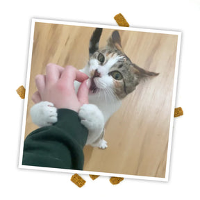 Meowijuana - Crunchie Munchies Chicken & Catnip Treats