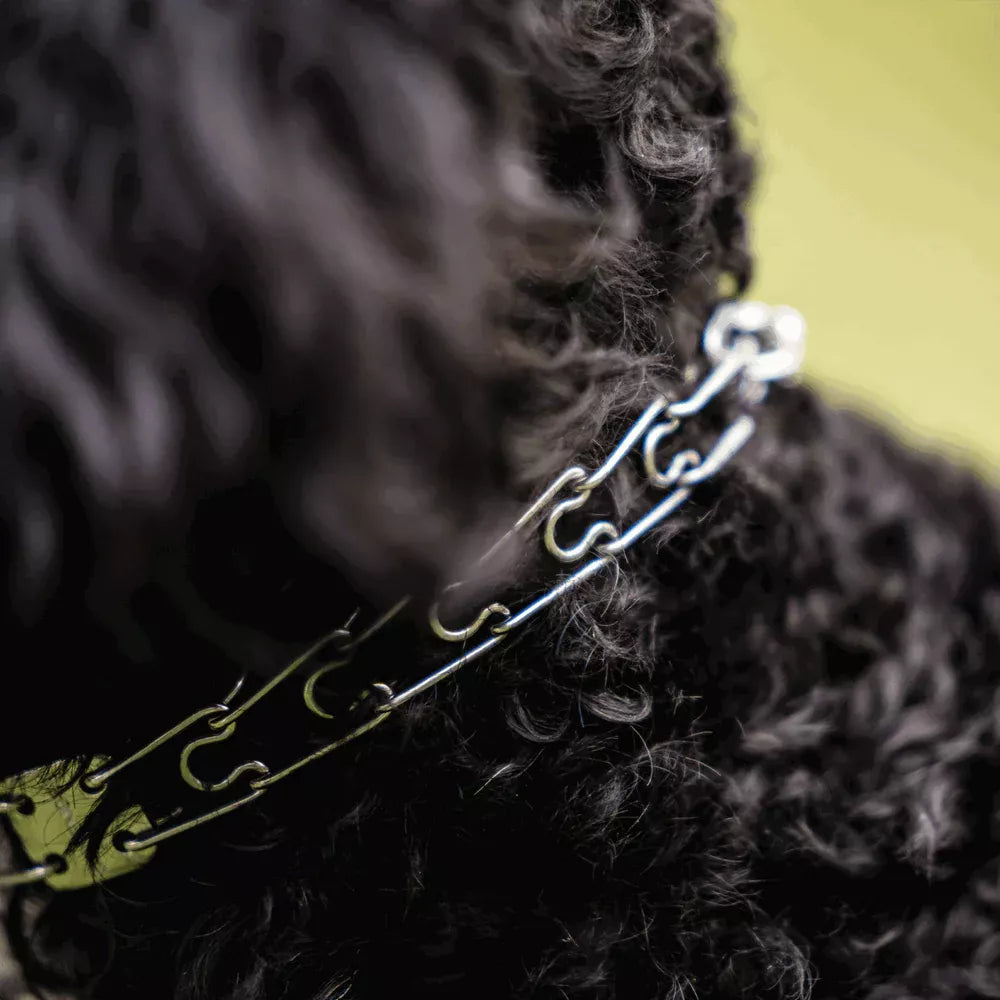 Coastal - Hs Prong Dog Collar Ss Center-Plate/Assembly Chain/Swivel