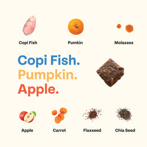 Chippin - Wild-Caught Jerky Copi Fish-Pumpkin-Apple