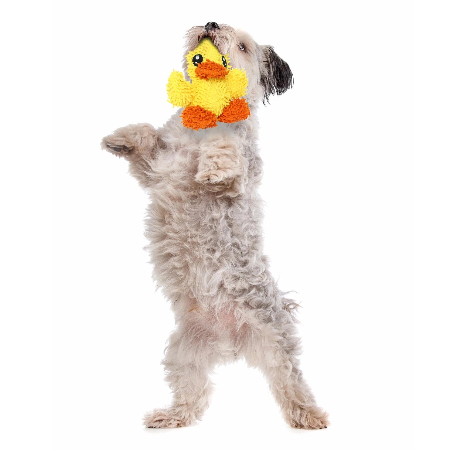 Tuffy Dog Toys - Mighty Junior Microfiber Ball Duck Squeaky Durable Toy