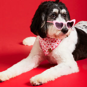 The Foggy Dog - Bandana Dog Heart Throb