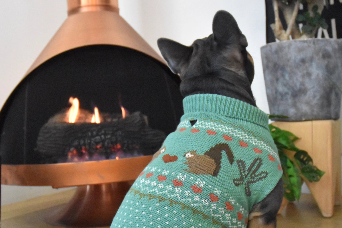 Finnegan's Standard Goods - Sweater Squirrel Love