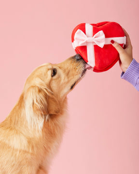 The Foggy Dog - Dog Toy Be My Valentine Interactive Snuffle Heart Box - Southern Agriculture 