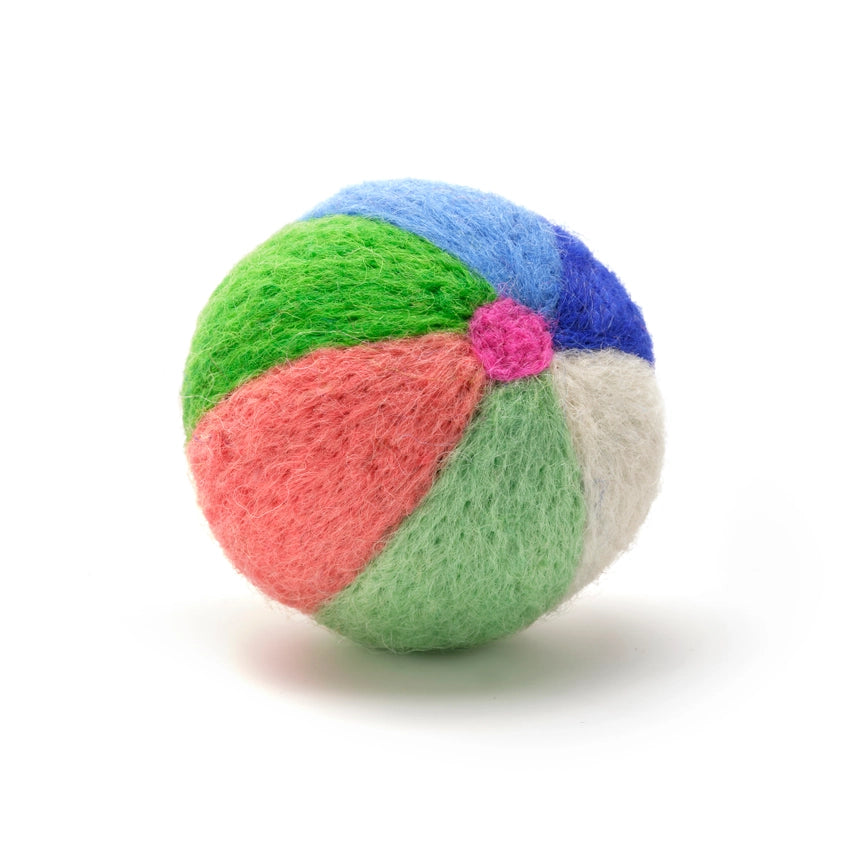 The Foggy Dog - Cat Toy Beach Ball