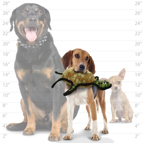 Tuffy Dog Toys - Ocean Turtle Dog Toy