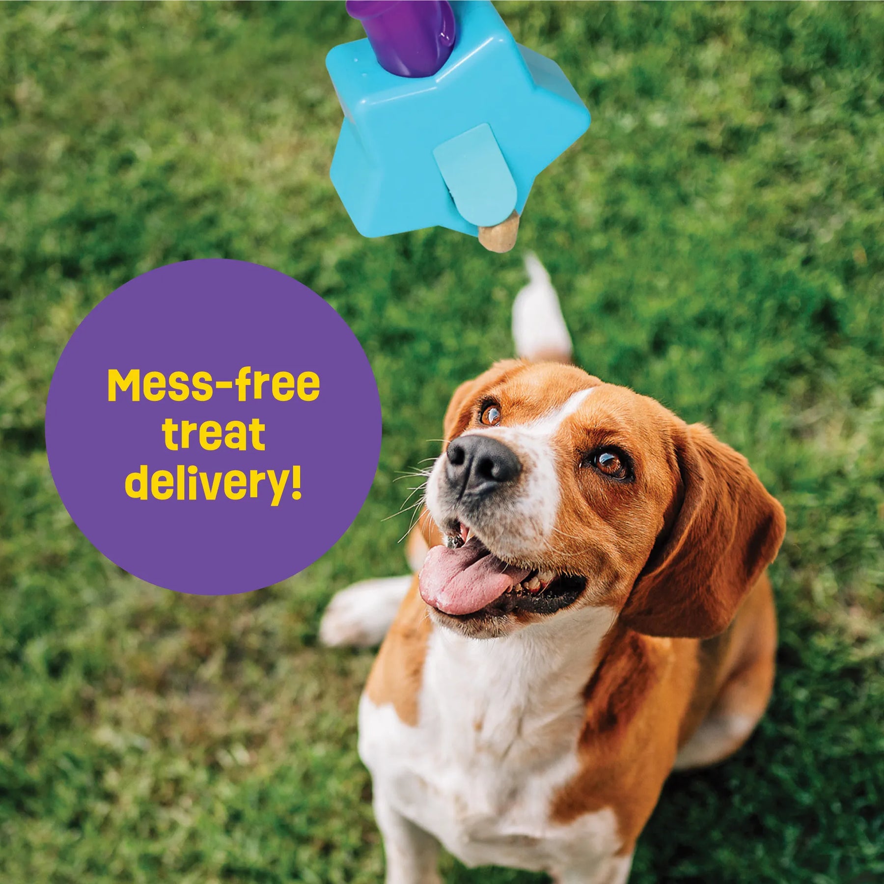 Brightkins - STAR Magic Wand Treat Dispenser