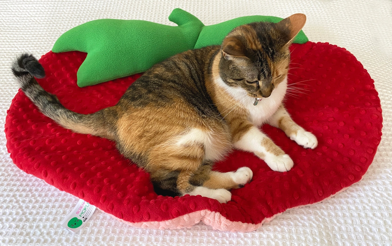 Screaming Pickles - Pet Bed Handmade Strawberry