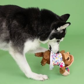 Petshop by Fringe Studio - Dog Toy Sunday's Best Plush Sloth