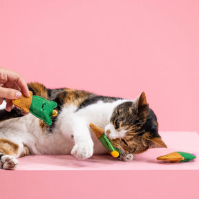 Petshop by Fringe Studio - Cat Toy Cat-Us Friends