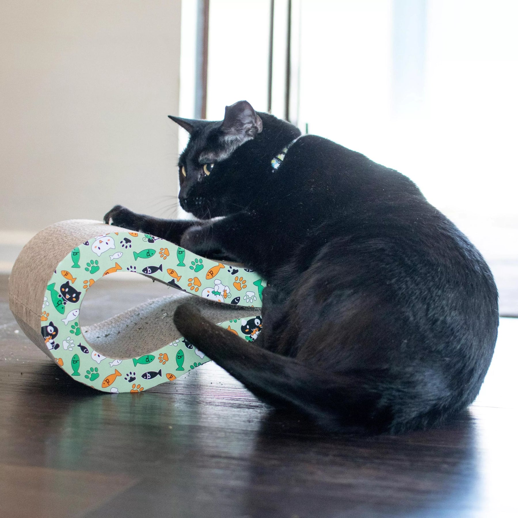 Coastal - Infinity Symbol Scratcher With Comical Cats, Fish & Pawprints
