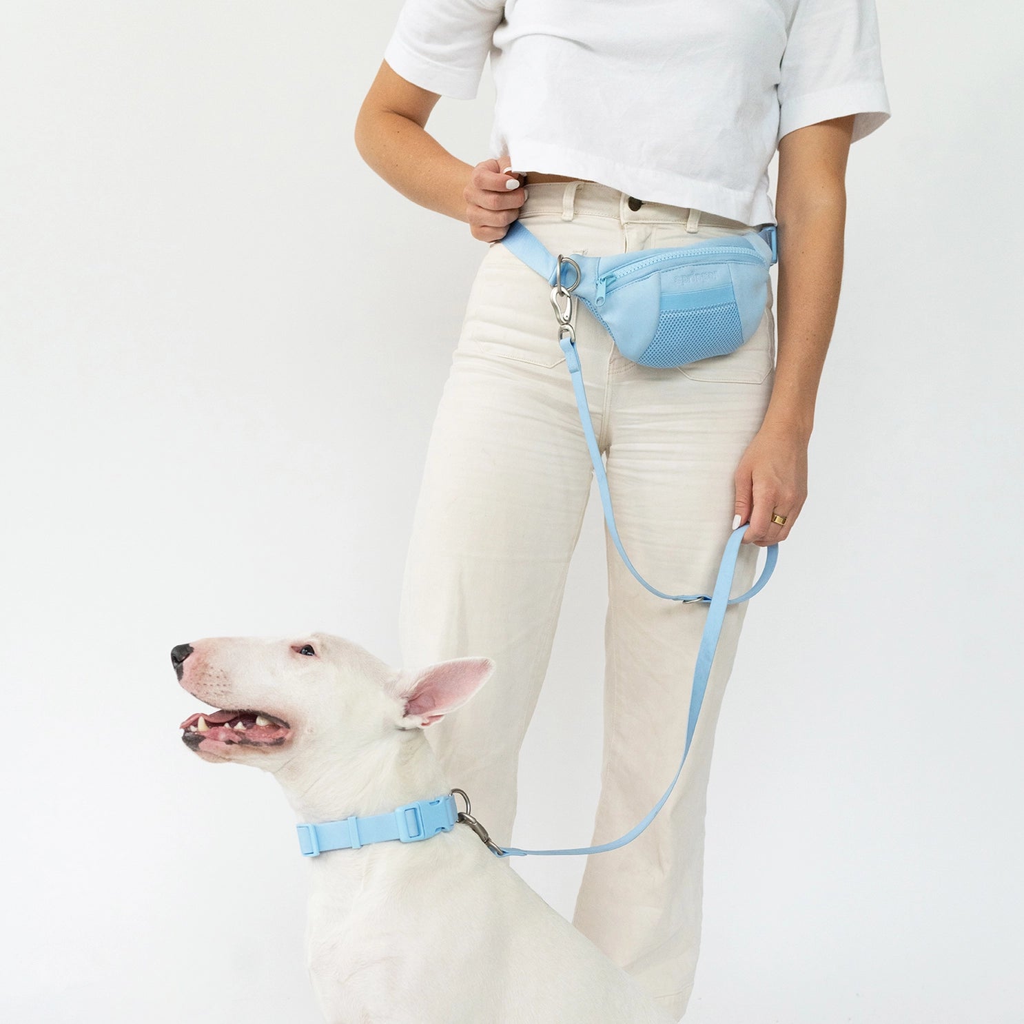 Springer - Sling Bag + Leash