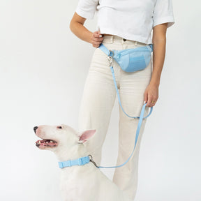Springer - Sling Bag + Leash